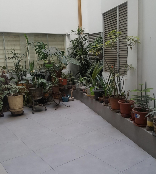 130433-27.jpg