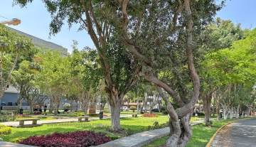 sirius-144-Parque.jpg
